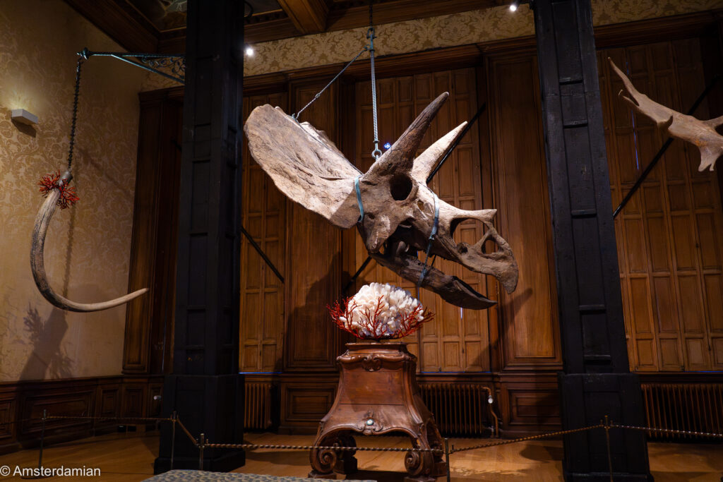 Details of RELICS exhibition