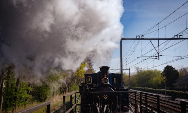 Riding a Steam Train Through the Tulip Fields: Hoorn–Medemblik