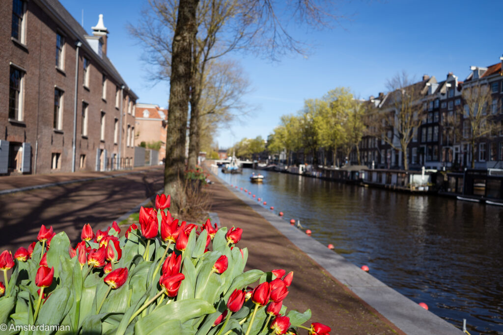 Tulp Festival Amsterdam 02