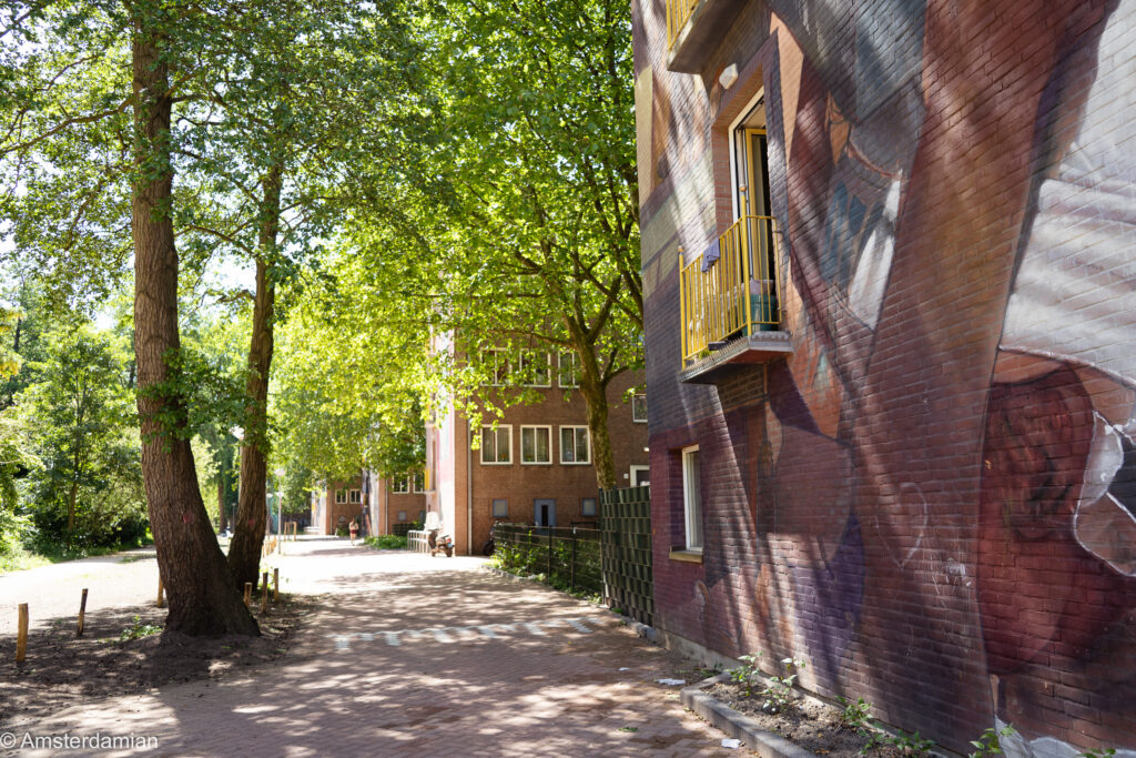 A building with a mural on a street in Oud-Oost neighbourhood