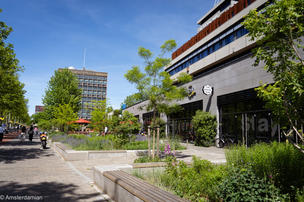 The Social Hub on Wibautstraat