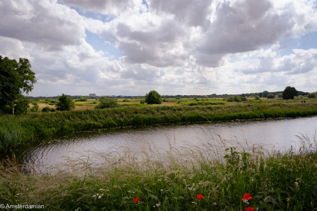 Nature in the outskirts of Den Bosch