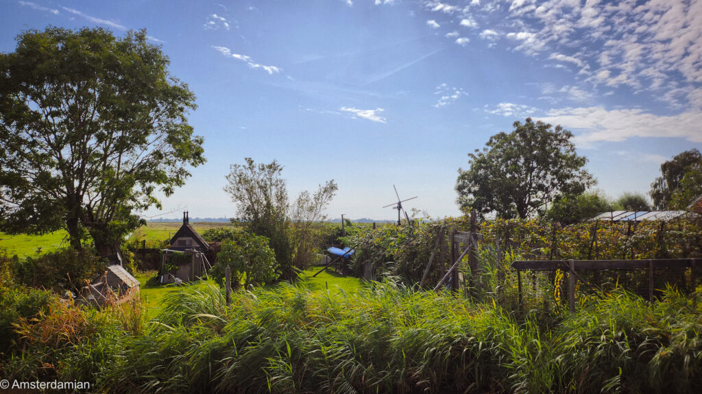 landscape in Het Twiske