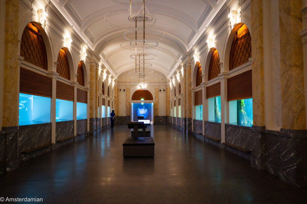 Main hallway at the ARTIS Aquarium