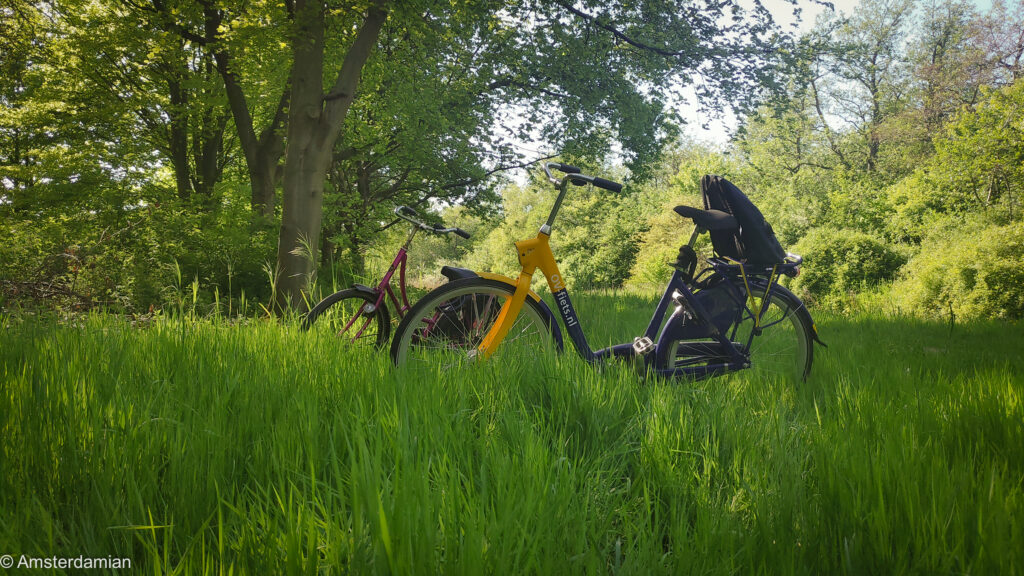 Bikes resting in the grass during a bike trip from Amsterdam