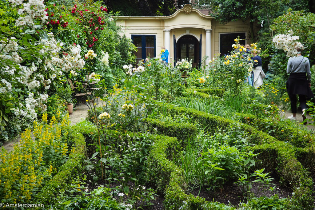Lush canal garden with box hedges, white and red roses and a classical garden house during Open Garden Days Amsterdam
