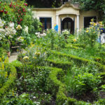 Open Garden Days Amsterdam: Behind the Canal Houses, a Hidden Green World