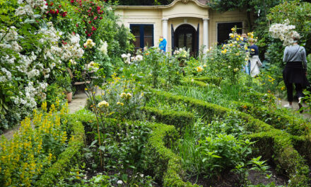 Open Garden Days Amsterdam: Behind the Canal Houses, a Hidden Green World
