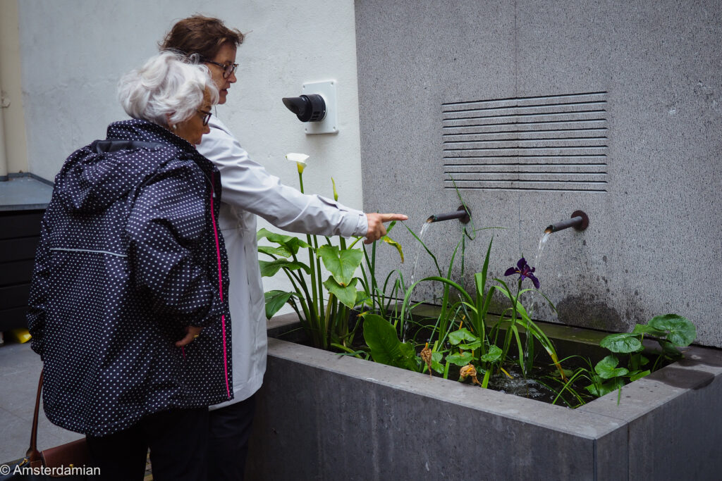 Two visitors looking at a modern water feature with plants in an Amsterdam canal courtyard garden