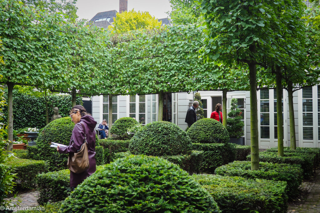 Formal canal courtyard garden with clipped box topiary and pleached trees beside a white shuttered house during Open Garden Days Amsterdam
