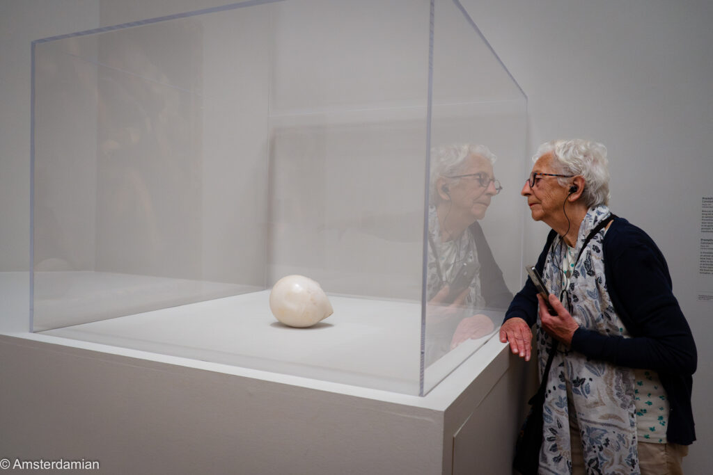 Visitor leaning in to see Brancusi's egg-shaped marble head in its display case
