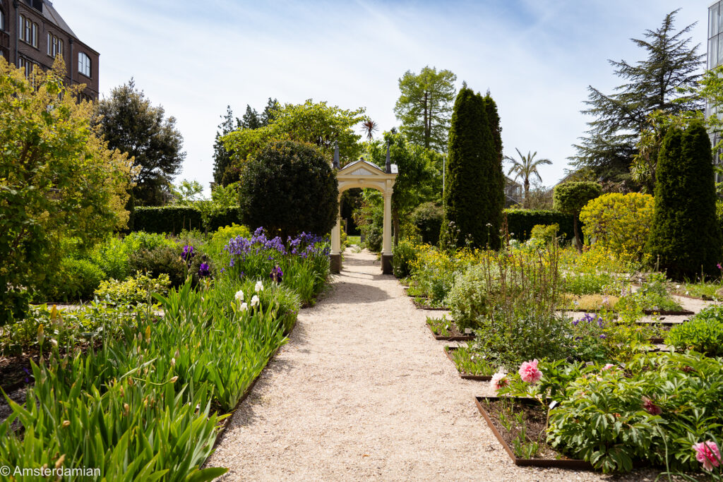 Gravel path between flower borders and a pergola at the Hortus Botanicus botanical garden in Leiden