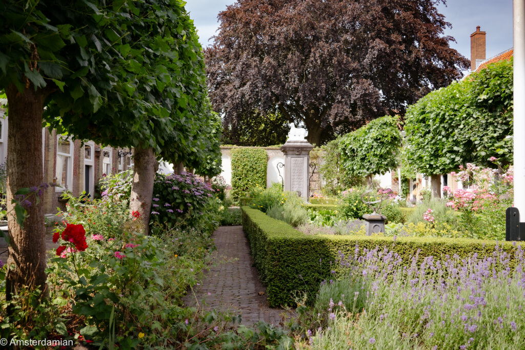 Neat hedged courtyard garden with lavender and roses inside a historic Leiden hofje