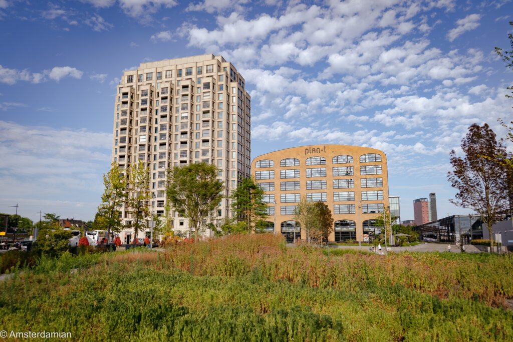 Plan-T building and a tower block seen across a wildflower meadow in Tilburg