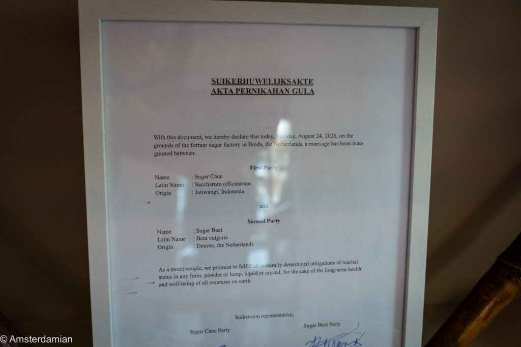 The marriage certificate between Sugar Cane and Sugar Beet