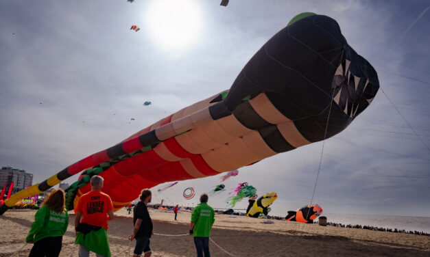 Scheveningen Kite Festival: A Weekend of Kites by the Pier