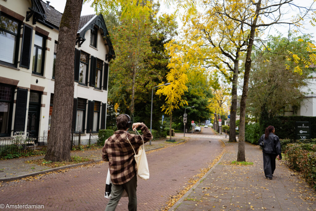 Leafy street with villas and yellow autumn trees in Hilversum