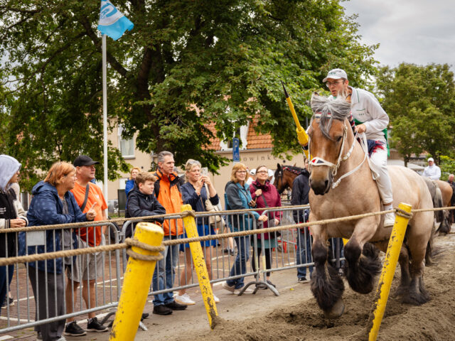 Ring Riding in Zeeland: an Age-Old Tradition
