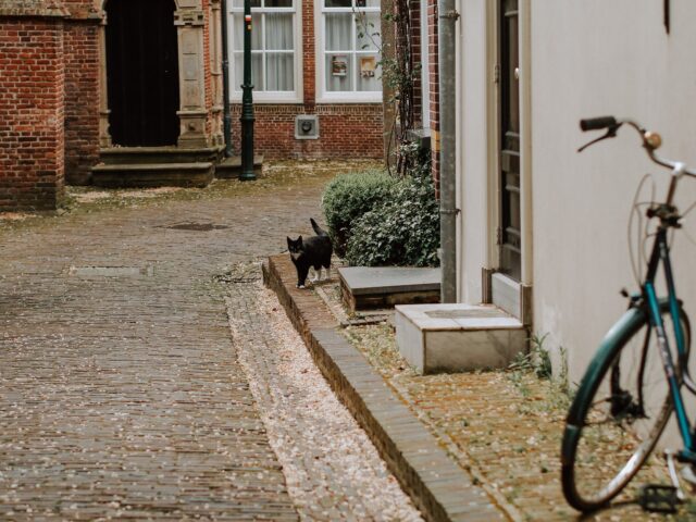Visit the Hidden Gems of Noord-Holland: Enkhuizen, Beautiful Historic Town