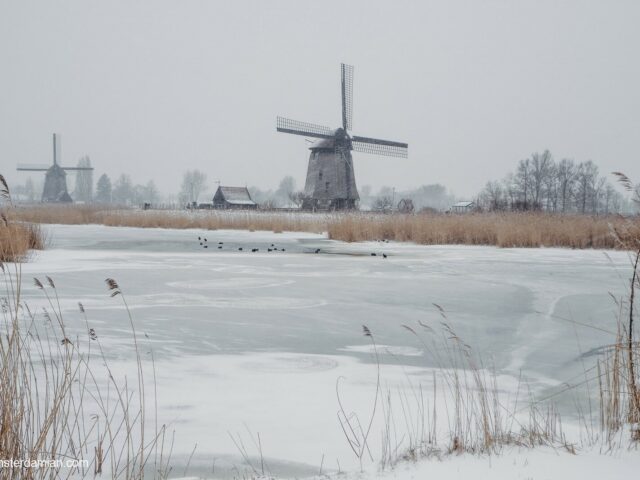 Snow and Windmills