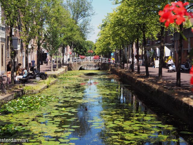 Top Seven Places to See in Zuid-Holland