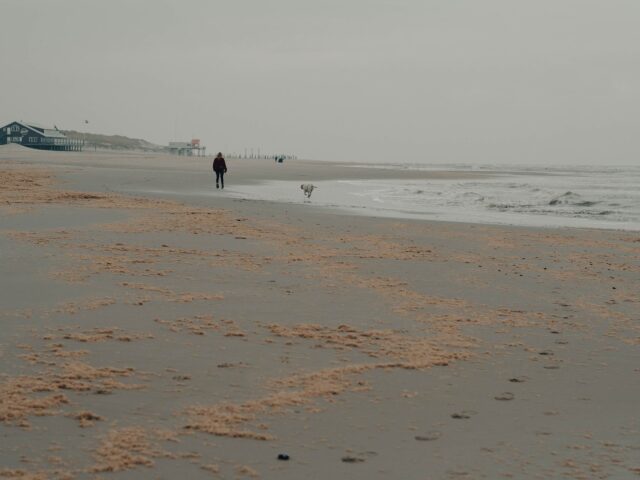 An Overcast Day at Petten aan Zee