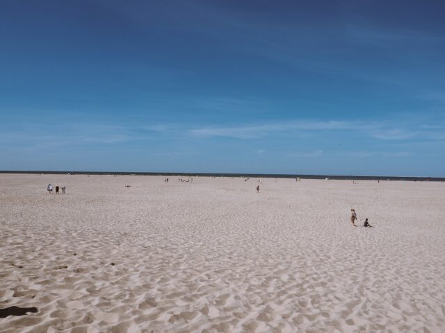In the Mood for Sun: the Best Beaches of North Holland